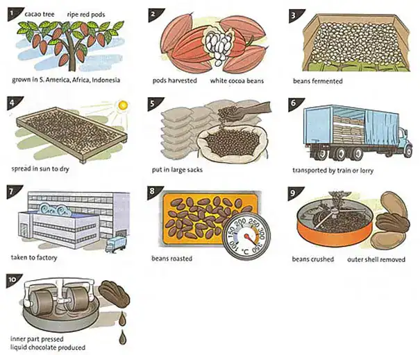 แผนภาพ