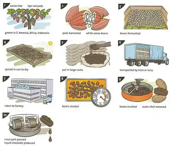 แผนภาพ